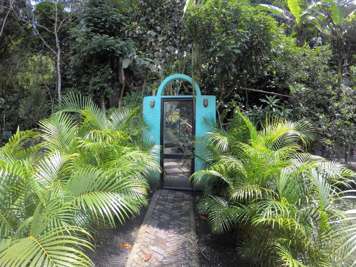 Waterfall El Paraiso - Cabanas, Jacuzzi, Piscina Y Cascada En Medio De La Naturaleza Farm stay *