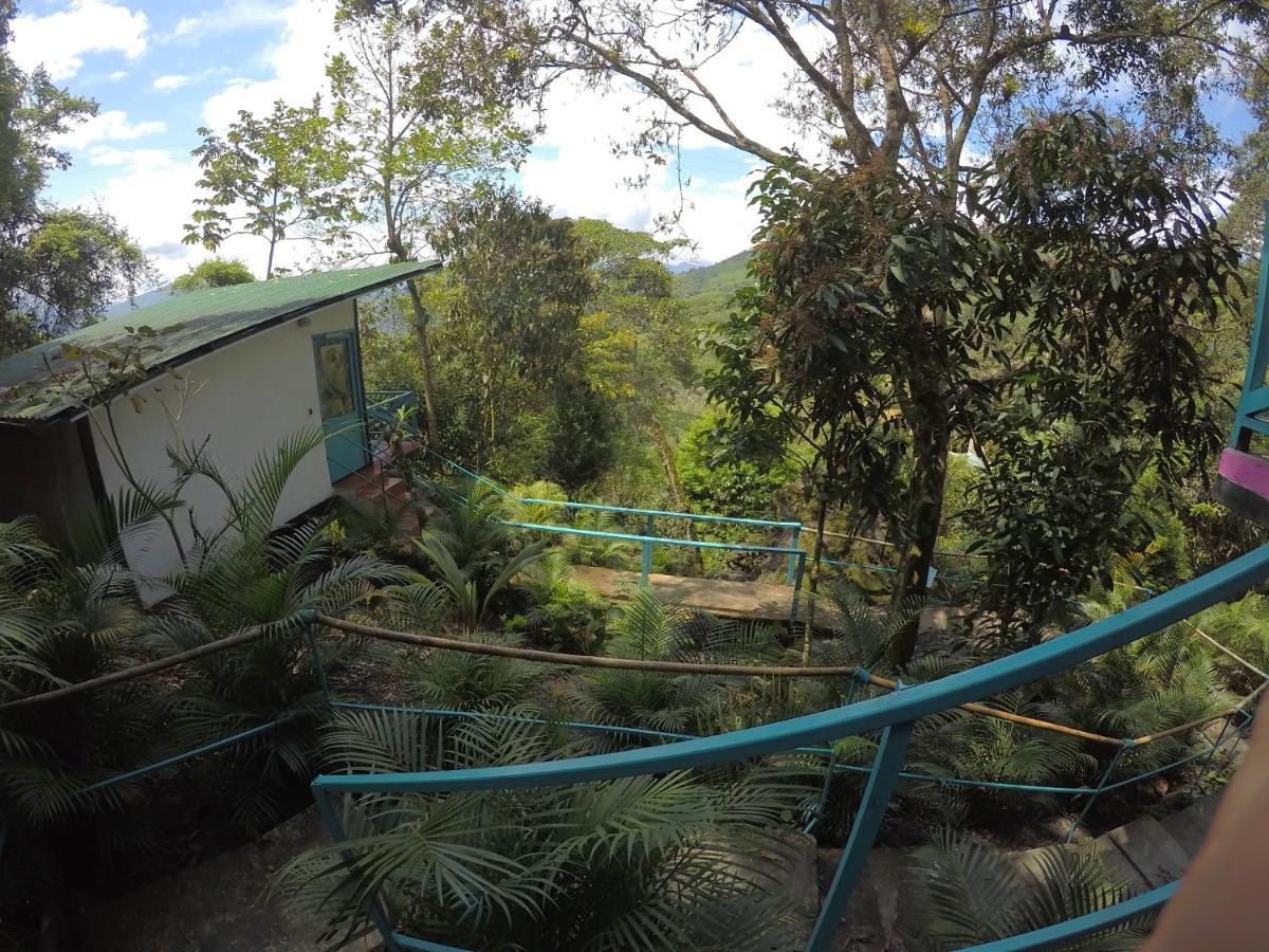 Farm stay Waterfall El Paraiso - Cabanas, Jacuzzi, Piscina Y Cascada En Medio De La Naturaleza *