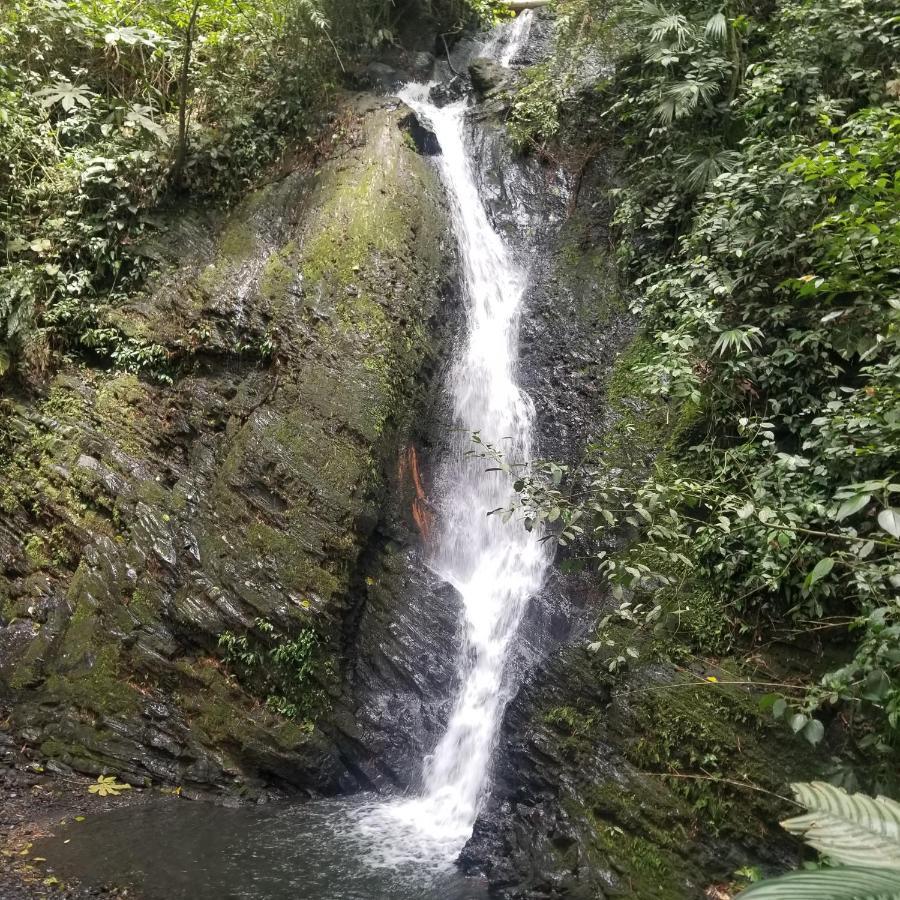 Farm stay Waterfall El Paraiso - Cabanas, Jacuzzi, Piscina Y Cascada En Medio De La Naturaleza