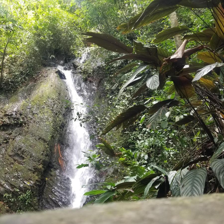 Waterfall El Paraiso - Cabanas, Jacuzzi, Piscina Y Cascada En Medio De La Naturaleza Farm stay *